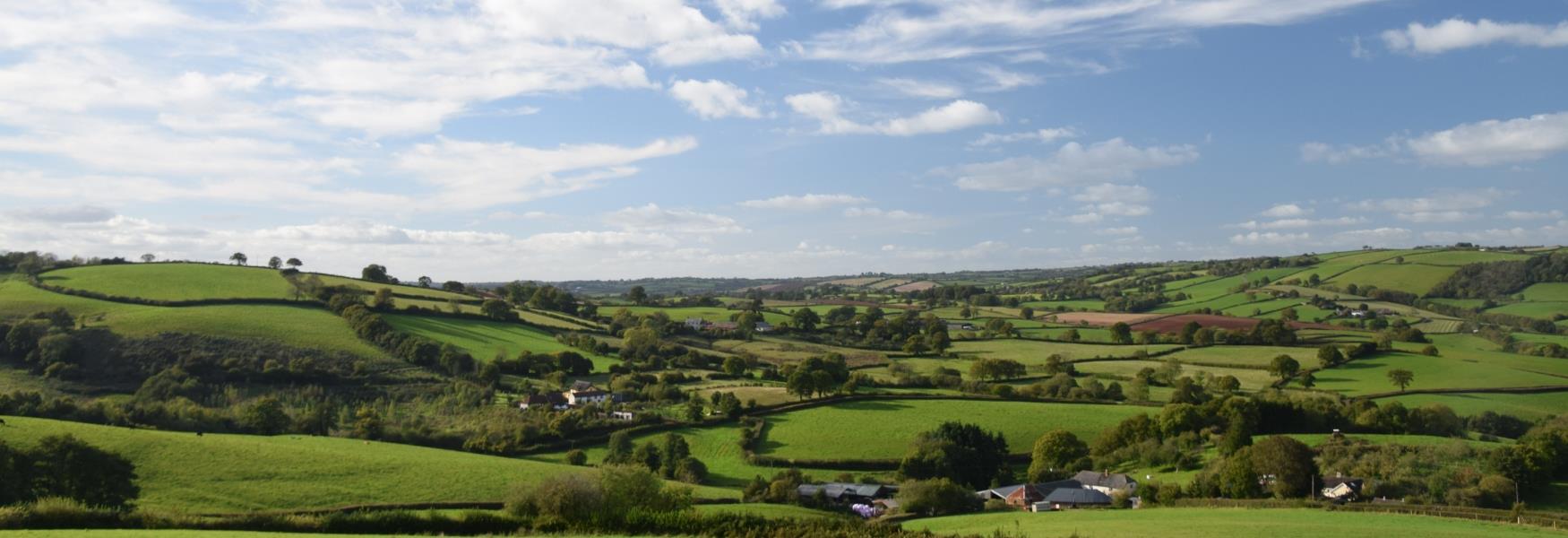 Countryside around Crediton