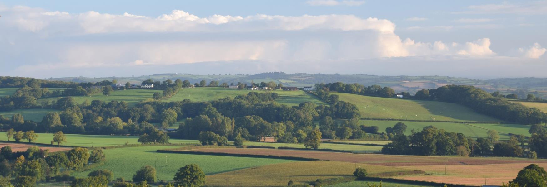 Countryside around Cullompton