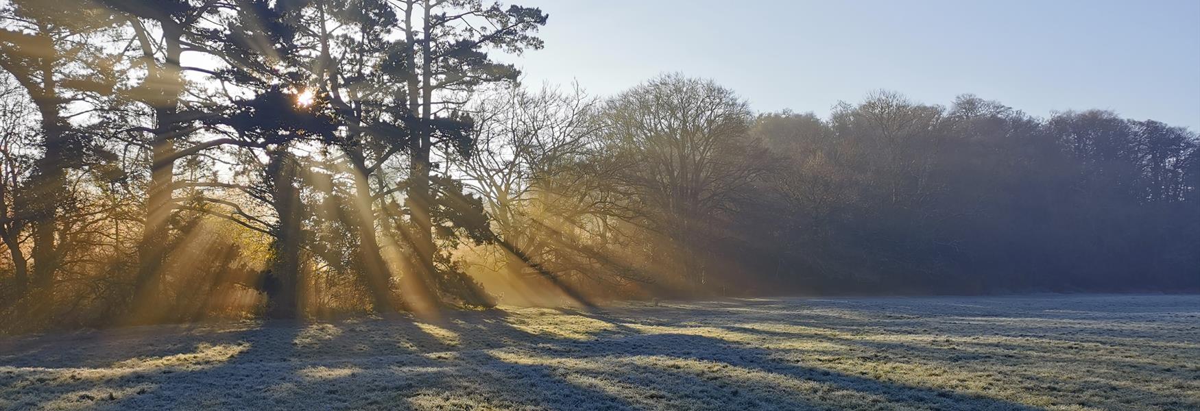 Frosty mornings