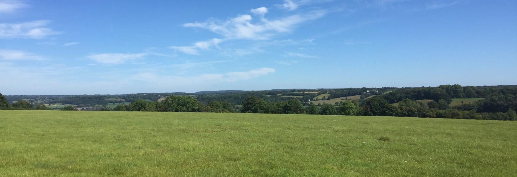 Countryside near Honiton