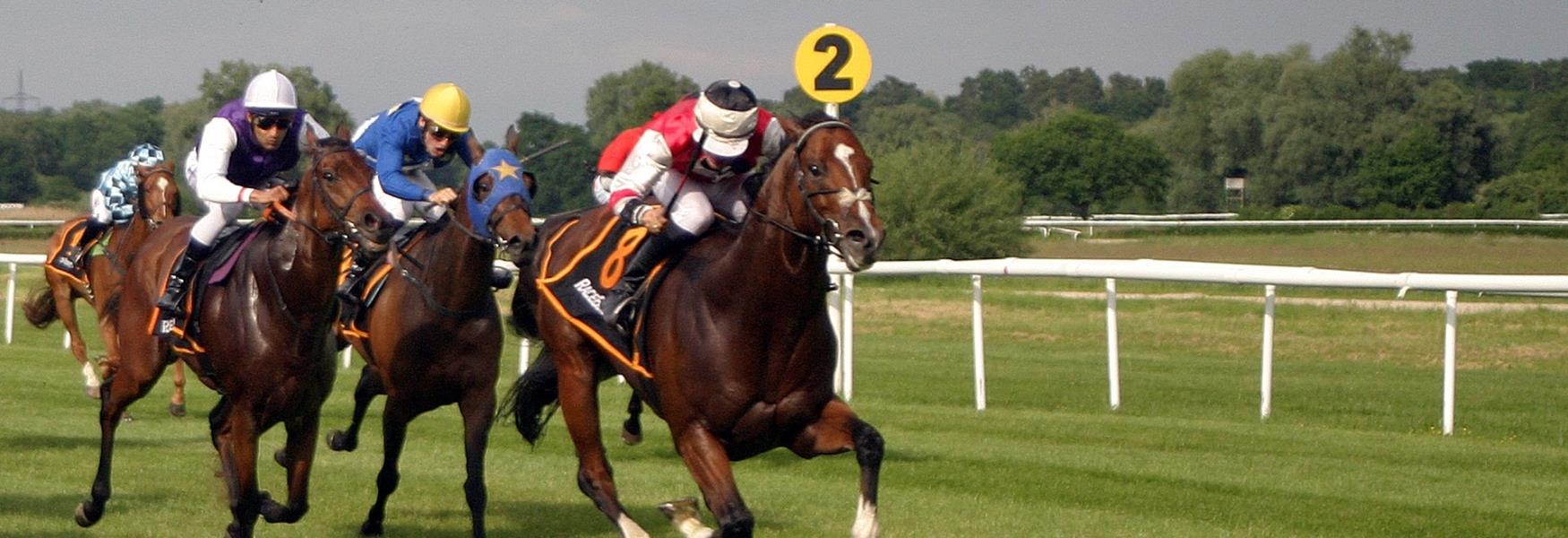 Horseracing