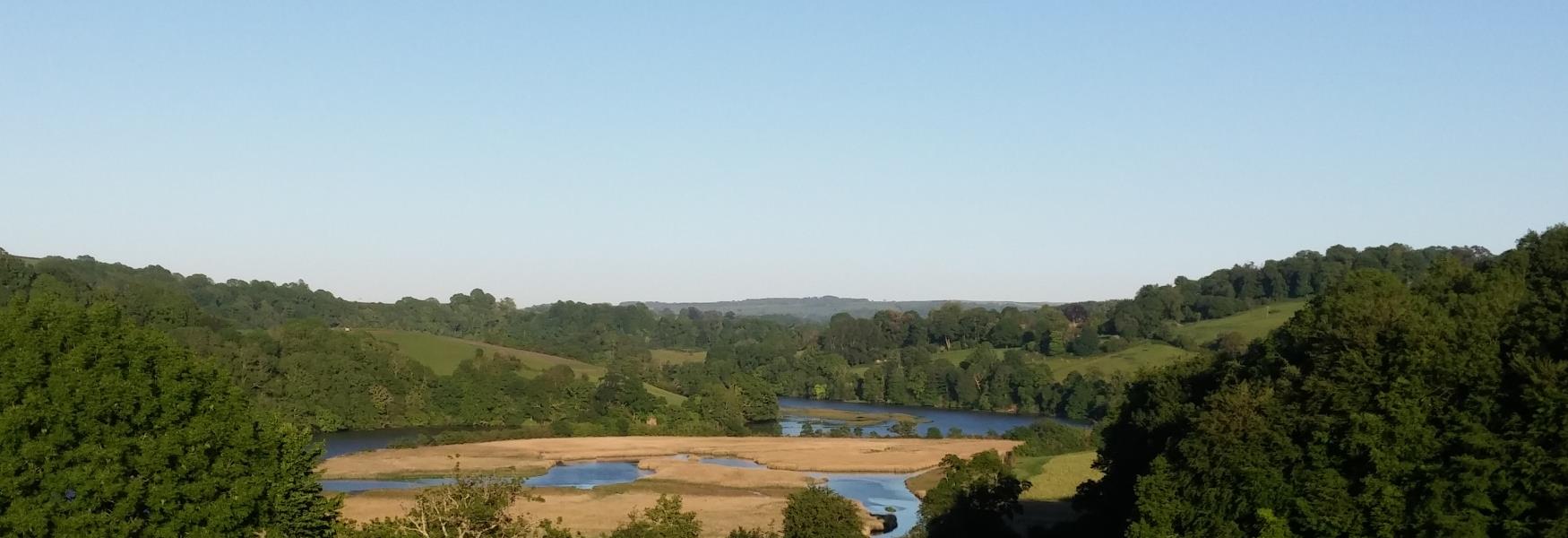 The River Dart