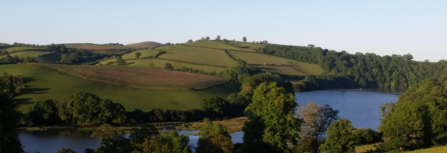 The River Dart