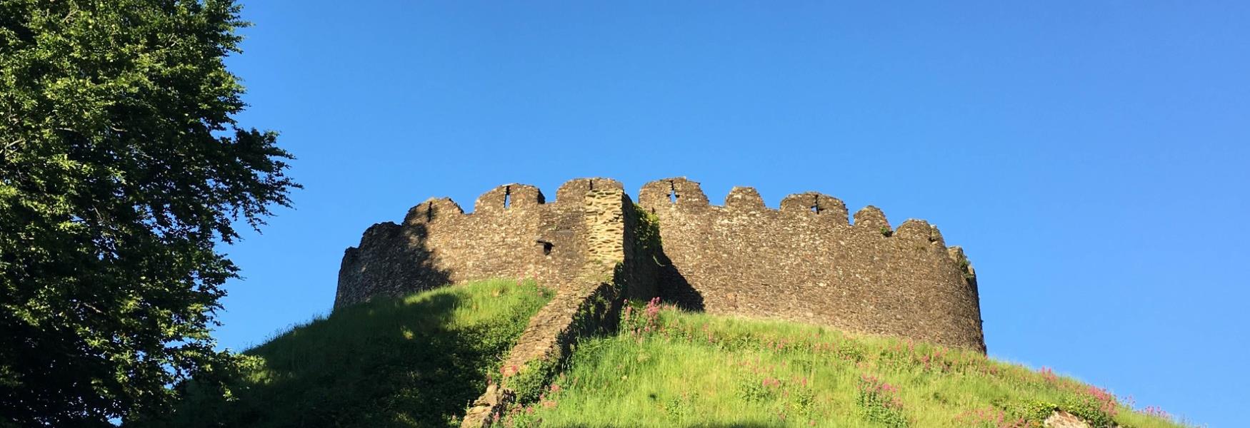 Totnes Castle