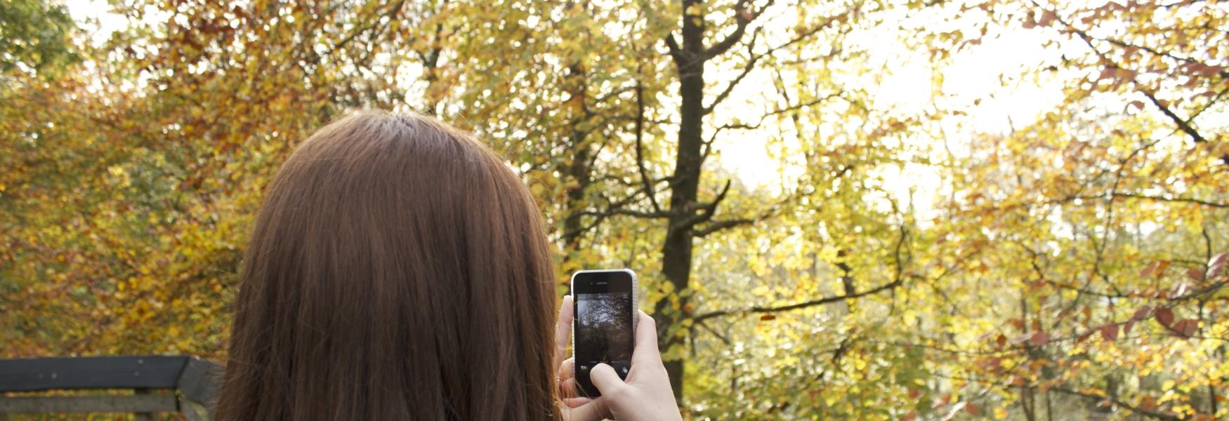 Person and Phone at Stover Country Park