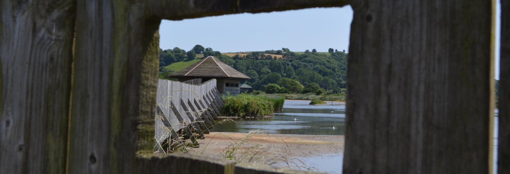 Seaton Wetlands