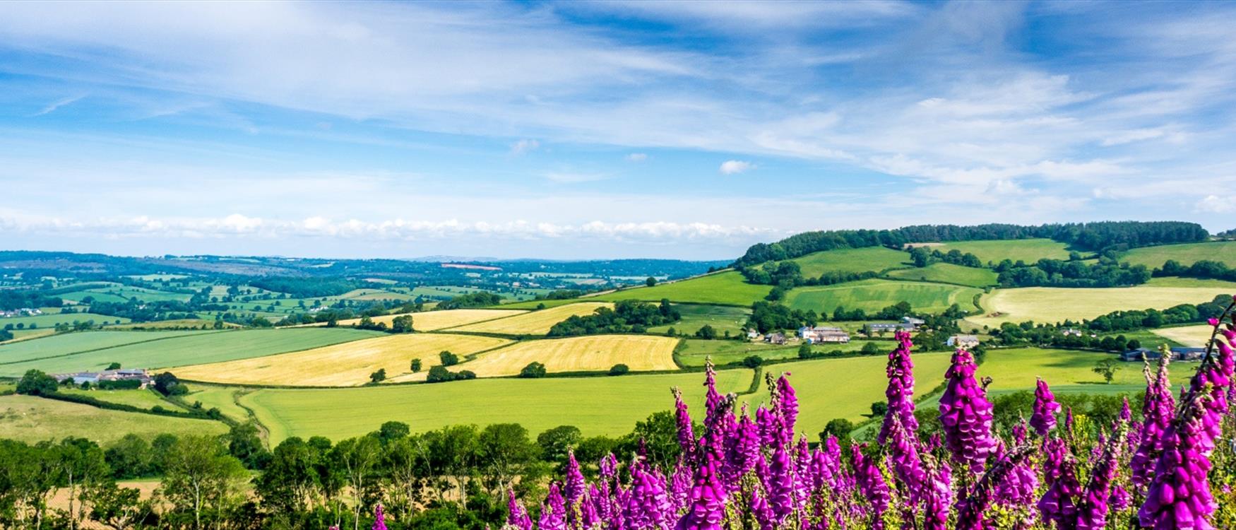 Peak Hill Sidmouth Countryside