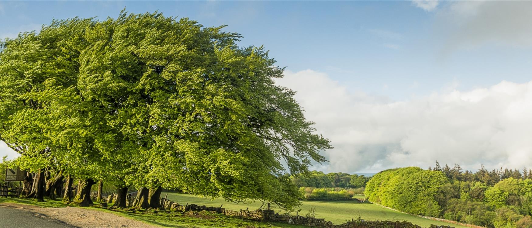 Dartmoor