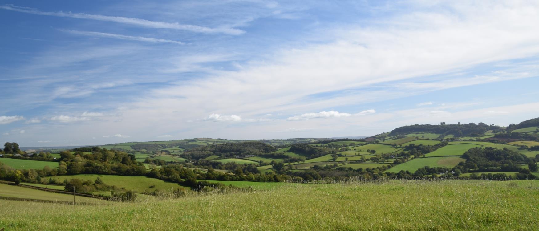 Countryside around Tiverton