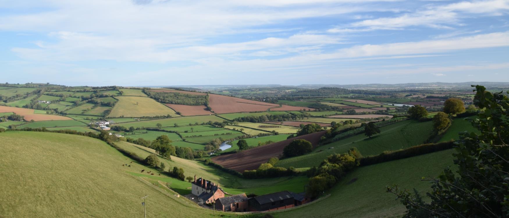 Countryside around Crediton