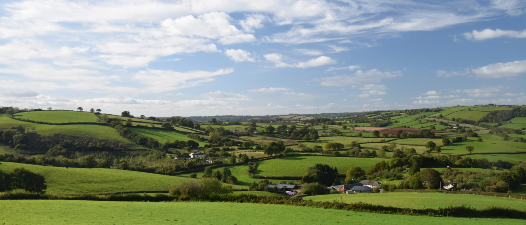 Countryside around Crediton