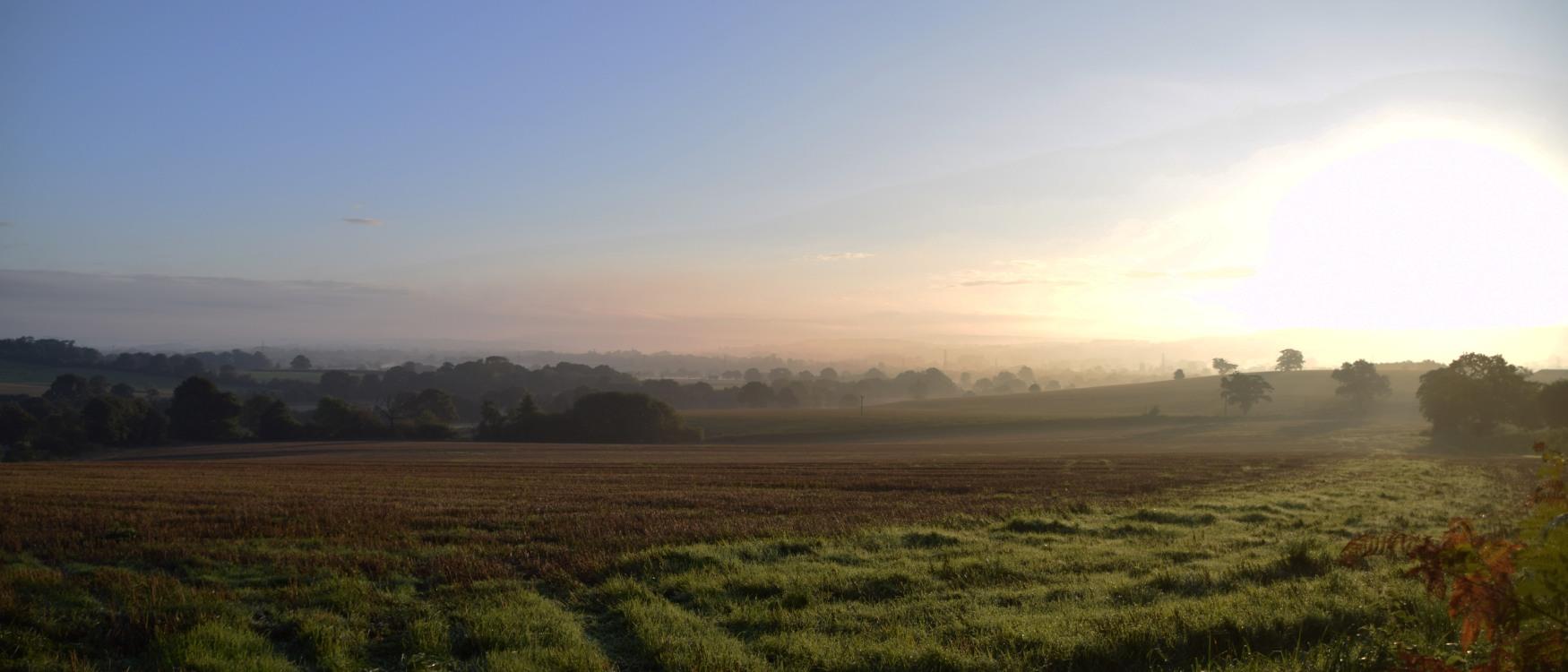 Countryside around Cullompton 