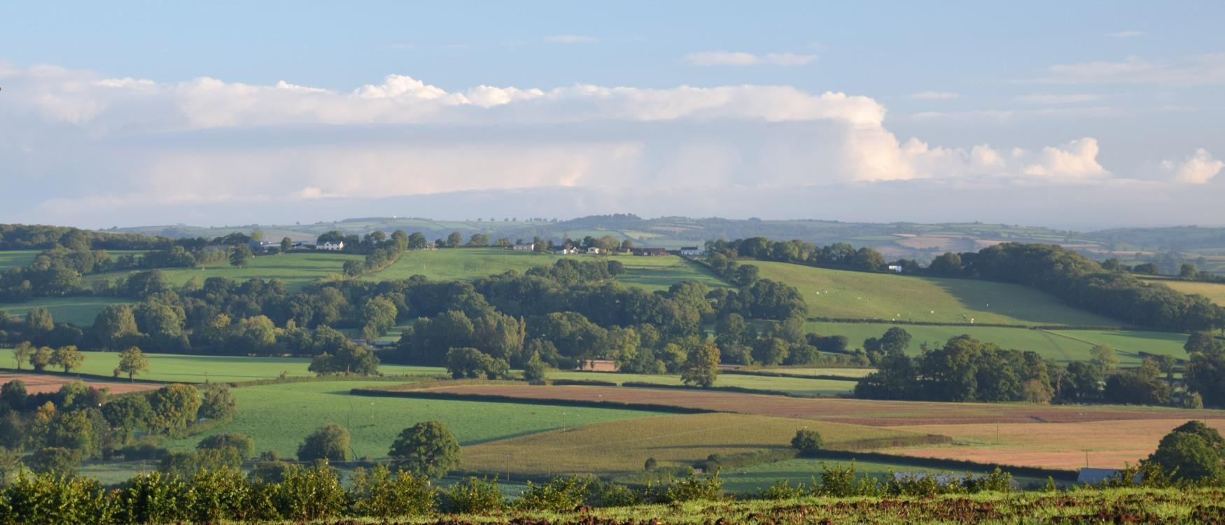 Countryside around Cullompton