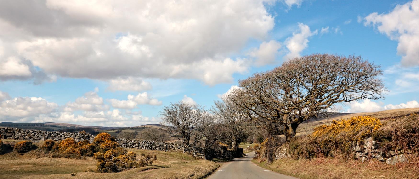 Dartmoor