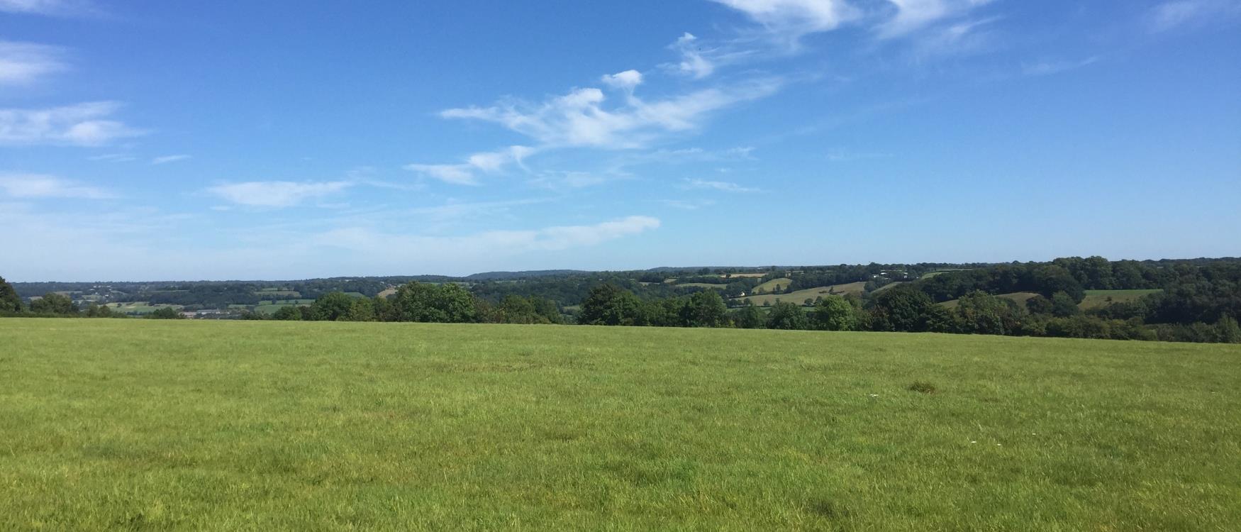 Countryside near Honiton