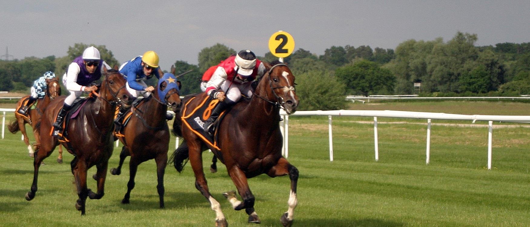 Horseracing