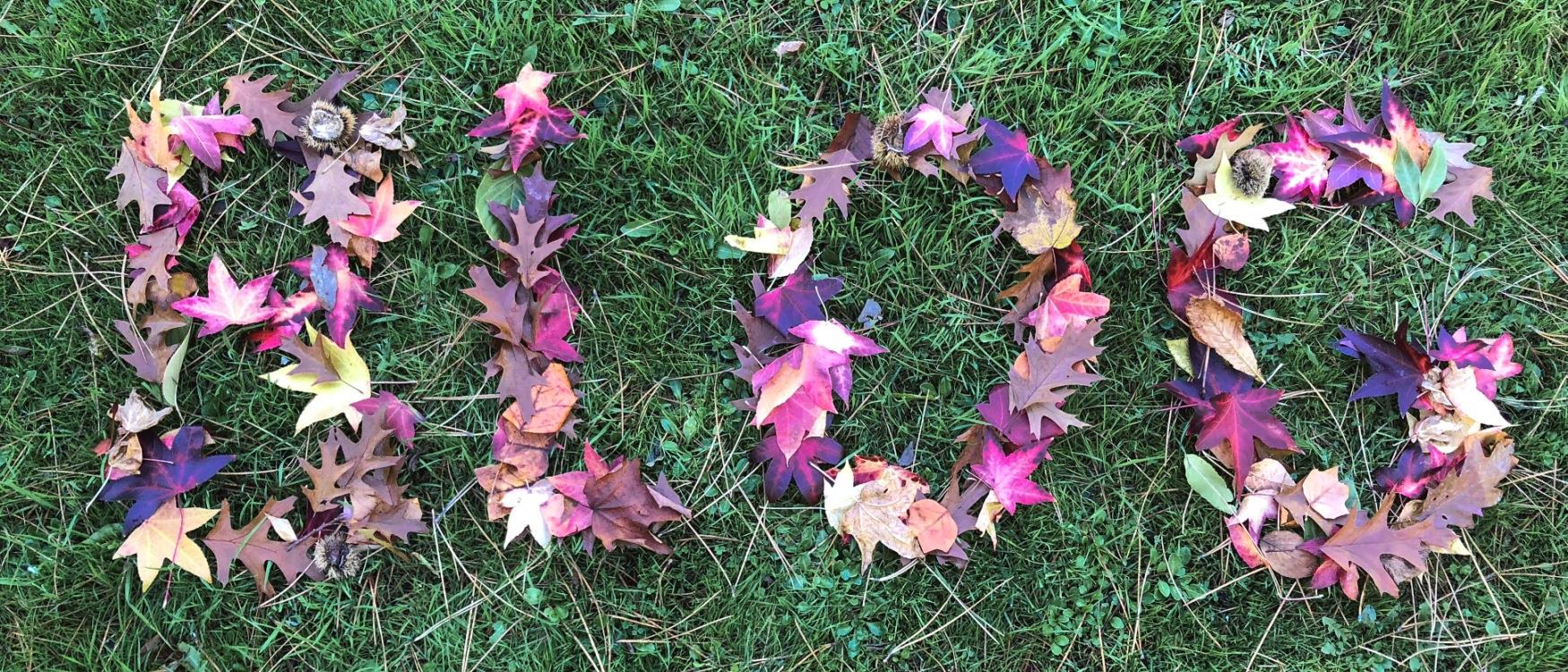 Travel Blog, South Devon, Winter