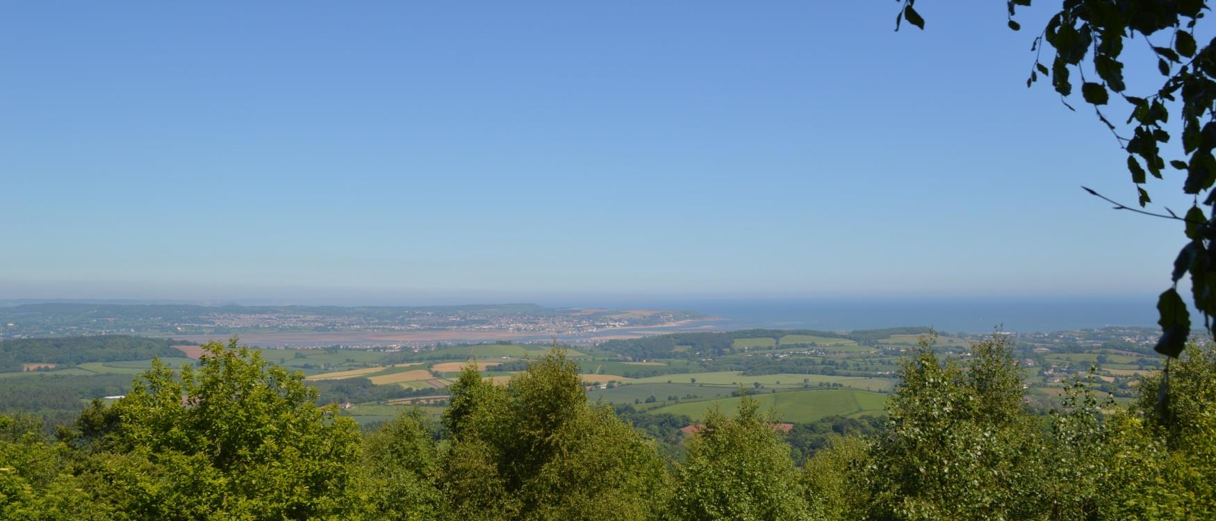 Mamhead view towards Exmouth 