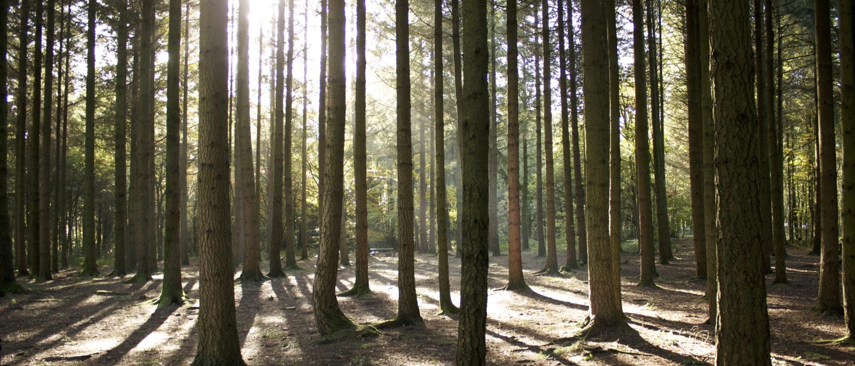 Stover Country Park