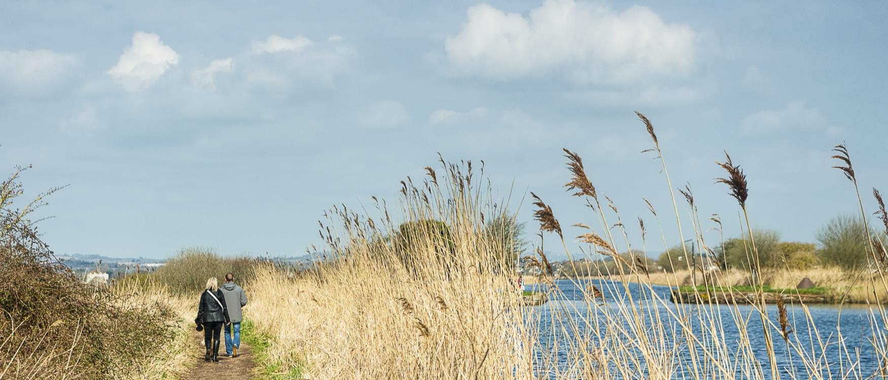 Exe Estuary Trail