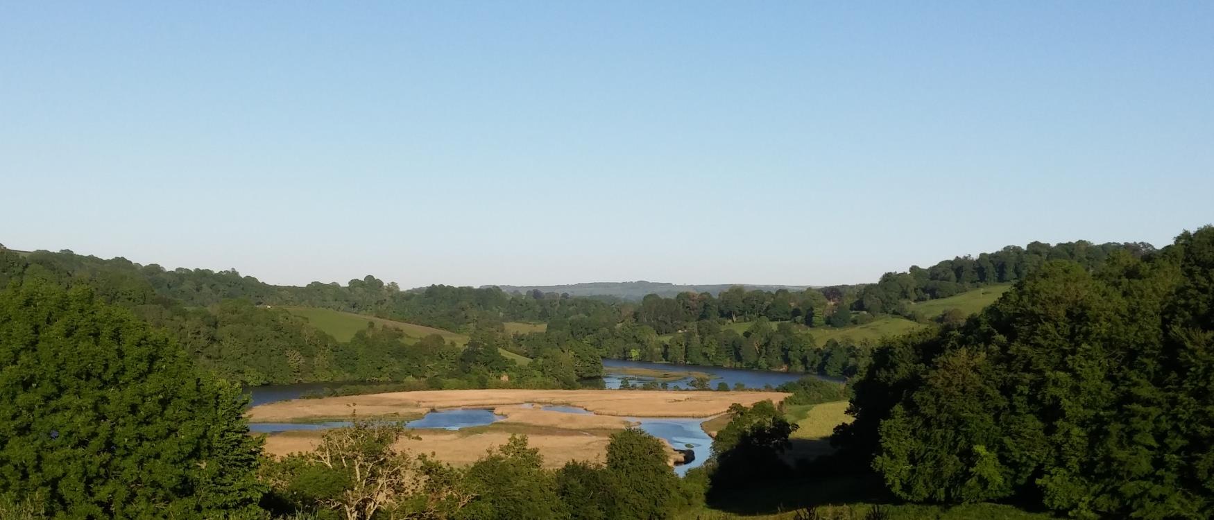 The River Dart