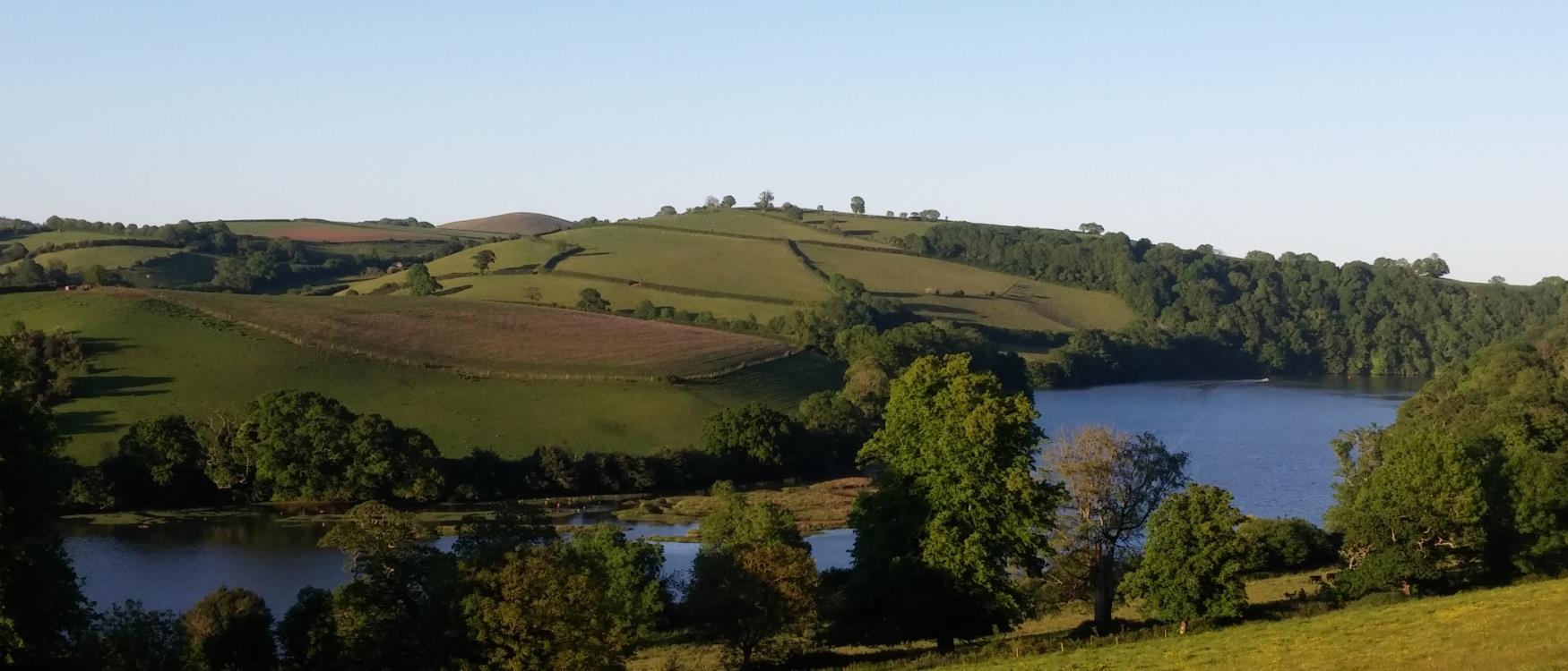 The River Dart