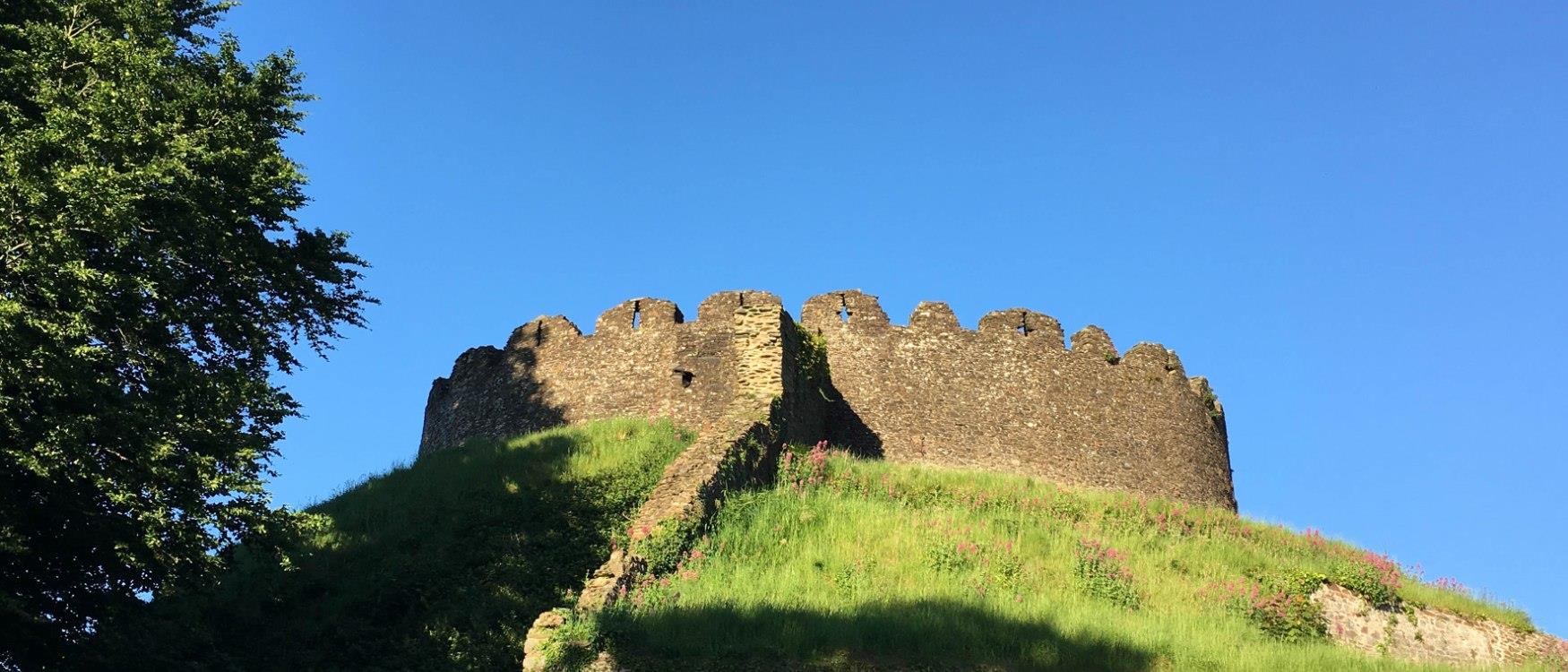 Totnes Castle