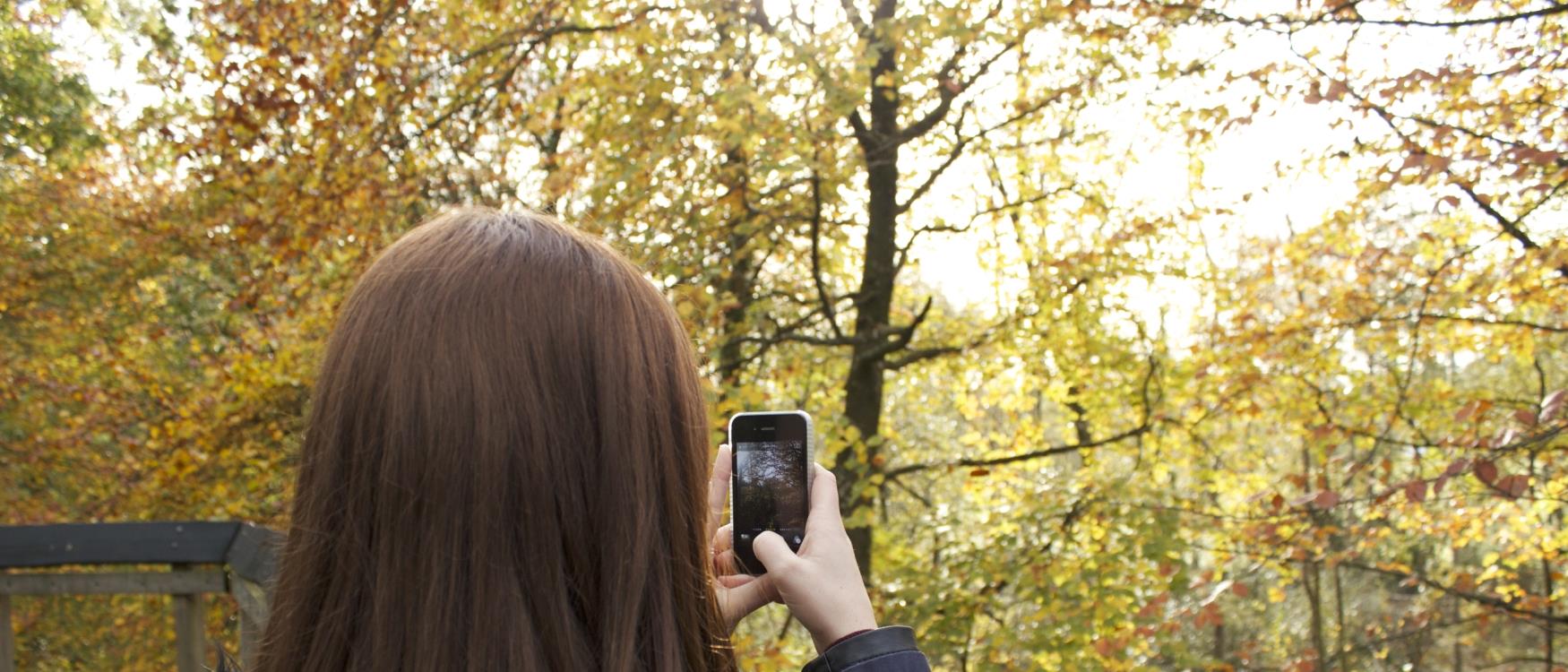 Person and Phone at Stover Country Park