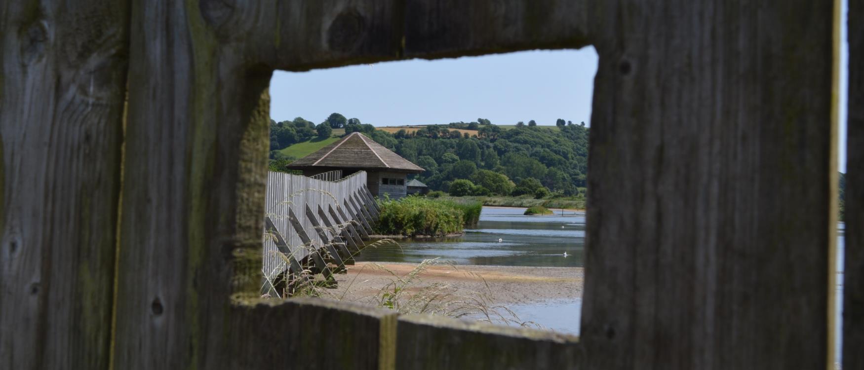 Seaton Wetlands