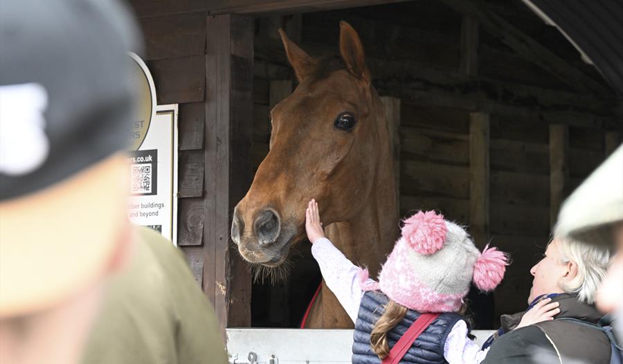Under 18s go free at Exeter Racecourse on Family Day