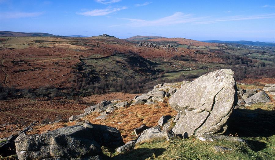 Towards Hound Tor - DACOM