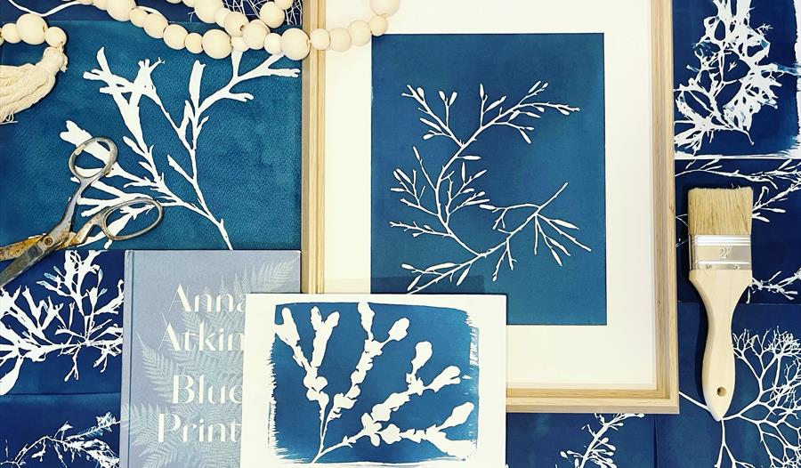 Seaweed Cyanotype Workshop with The Devon Seaweed Company