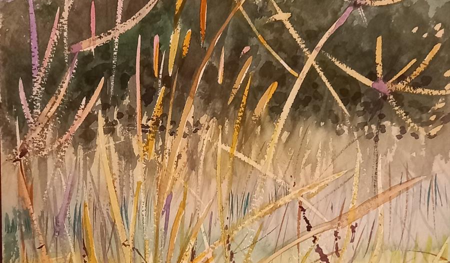 Meadow in September original watercolour by David Mowat