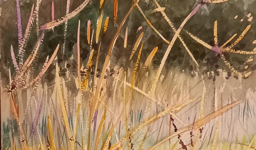 Meadow in September original watercolour by David Mowat