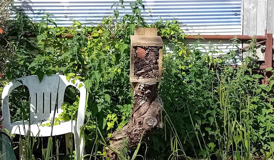 Bug box on an old trunk in a garden with plastic garden chair and a corrugated wall in the background