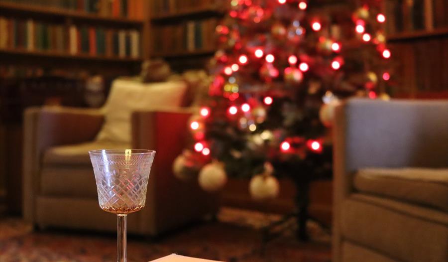 Sherry glass with a Christmas tree in the background