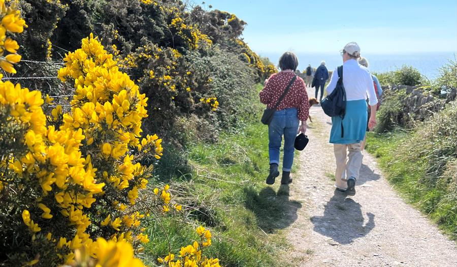 Photo of coast path with people walking in front. Bank on the left with gorse and views out to sea beyond