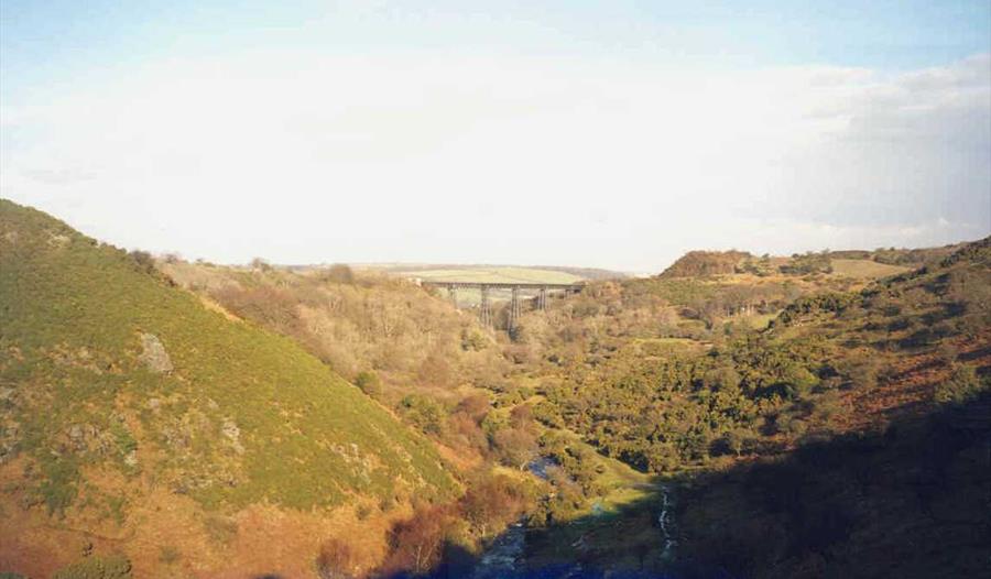 Photo of West Okement Valley and Meldon Viaduct