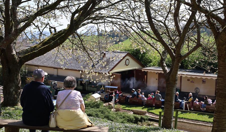 Steam train travelling through the gardens at Pecorama