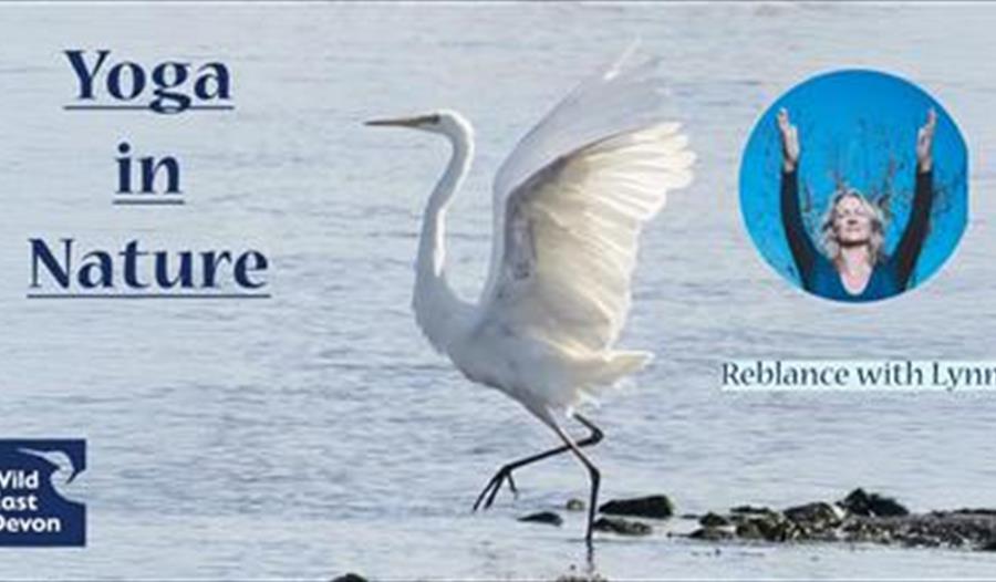 Yoga at Seaton Wetlands