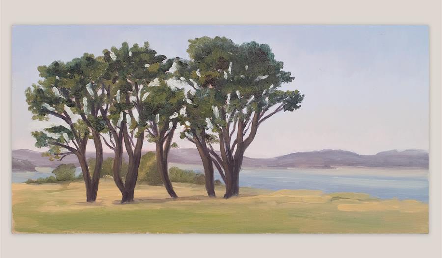Trees Near Elberry Cove