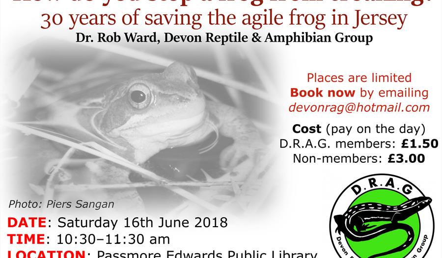 Agile frog talk flyer