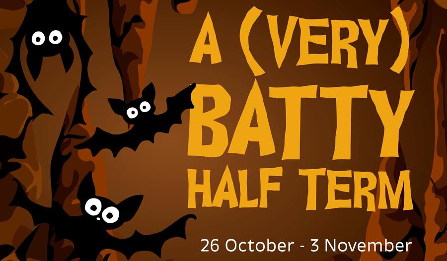 A (very) Batty Half Term