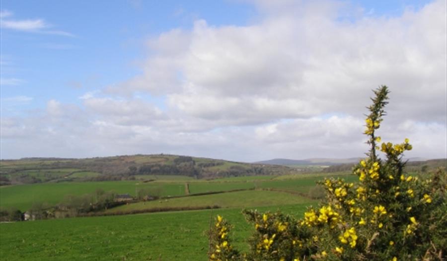 Blackdown Rings from Hendham