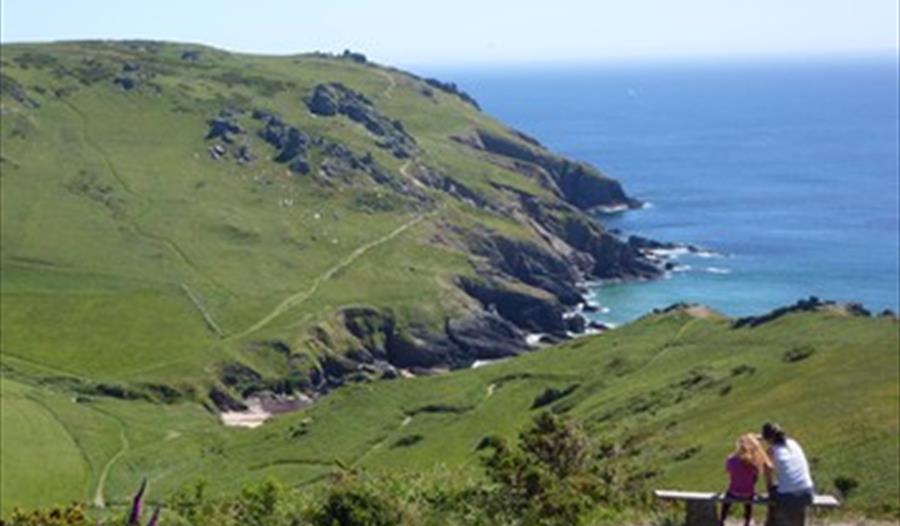 Bolberry Down looking towards Soar Mill Cove, South Devon. Photographer Andy Milsom, Bristol.