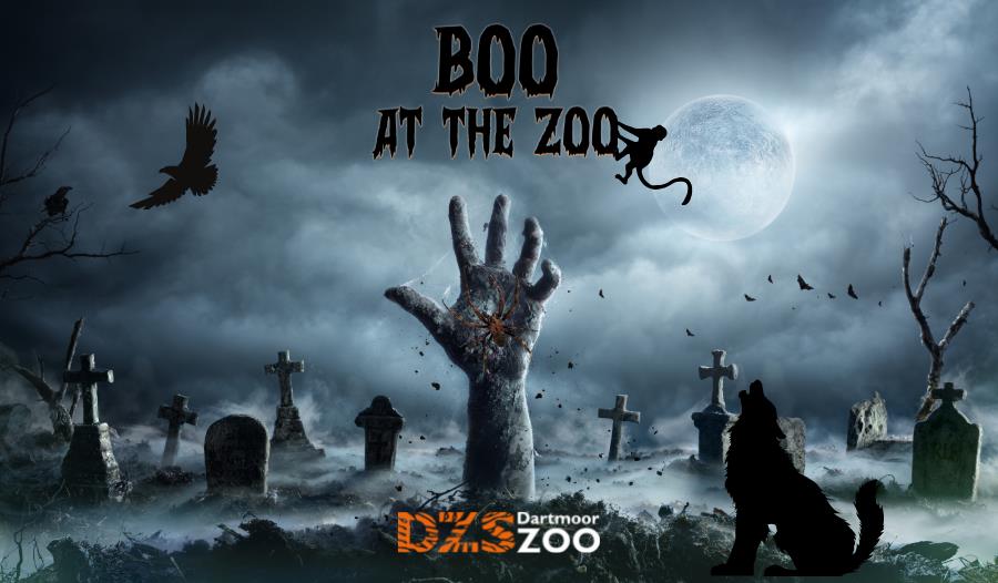 Boo at the Zoo, Dartmoor Zoo