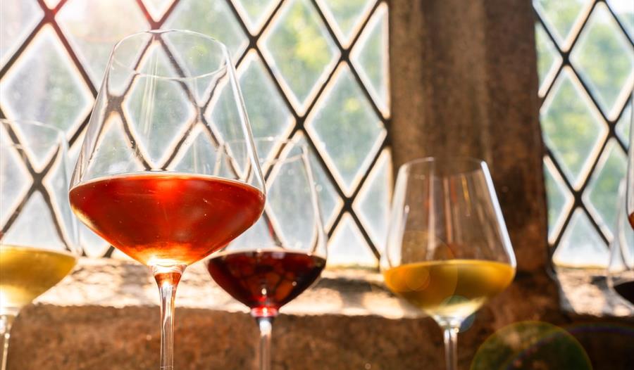 Winter Warmers Wine Tasting with Elly Owen