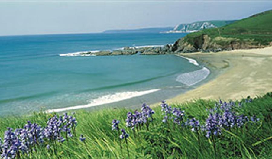 Challaborough Beach