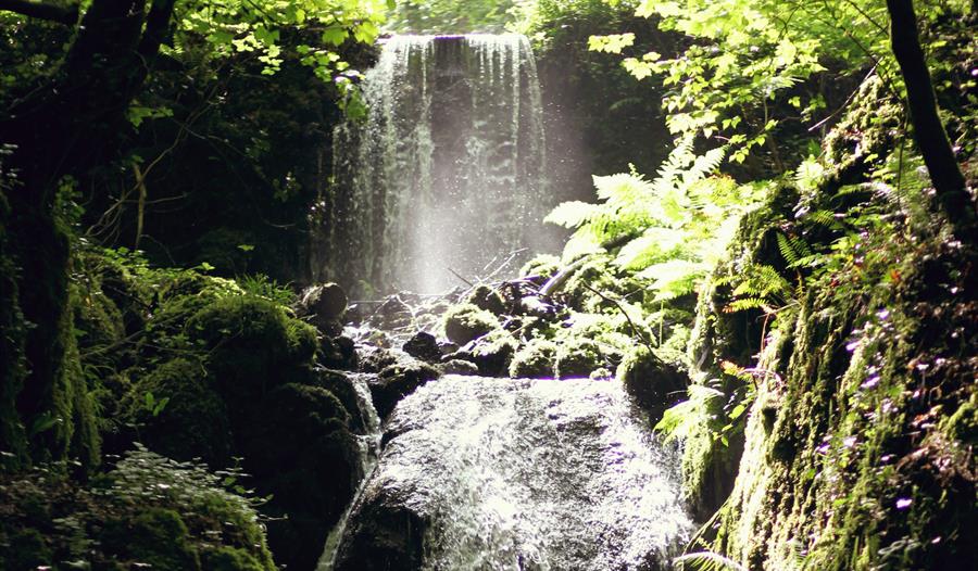 Waterfall in sunlight with ferns