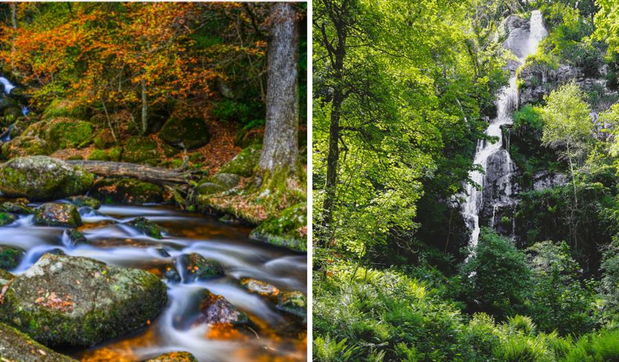 Dartmoor waterfalls